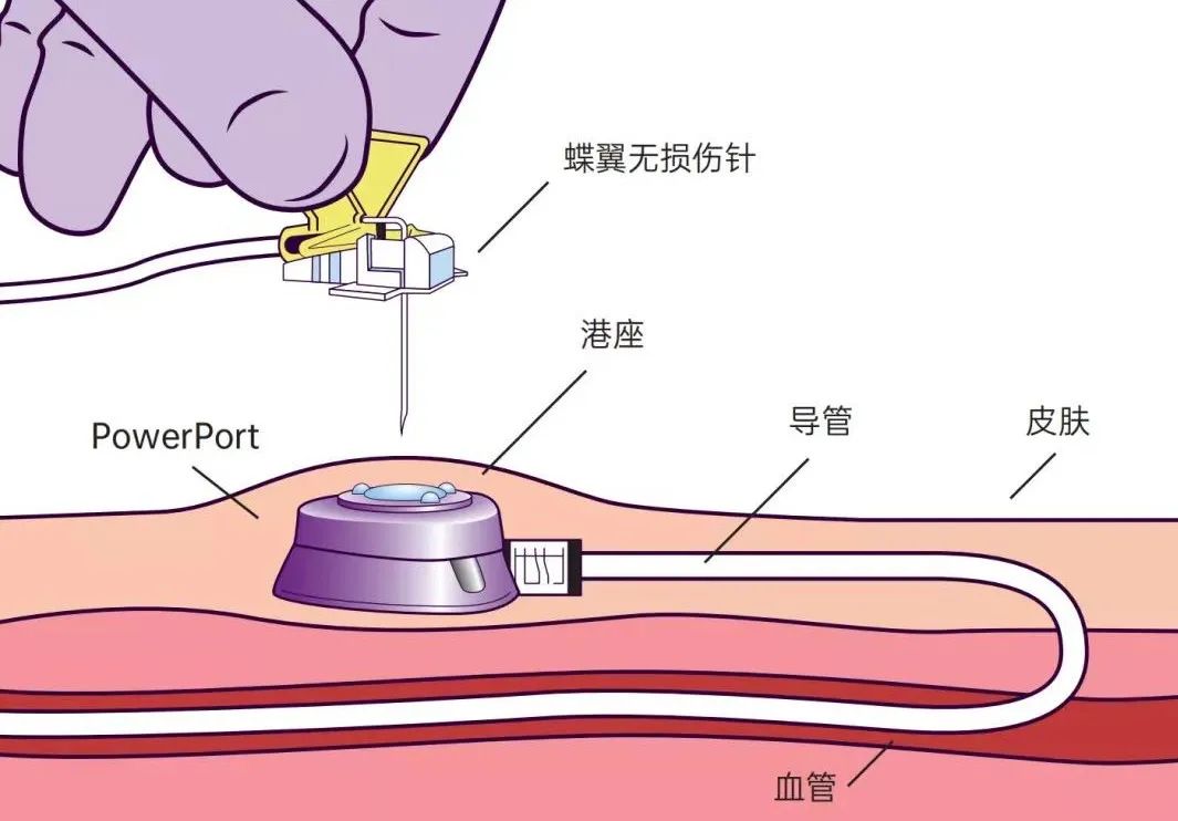 微信图片_20230412080804.jpg