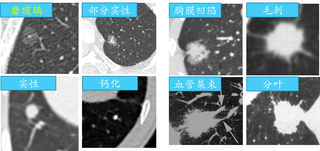 微信图片_20230713153138.png