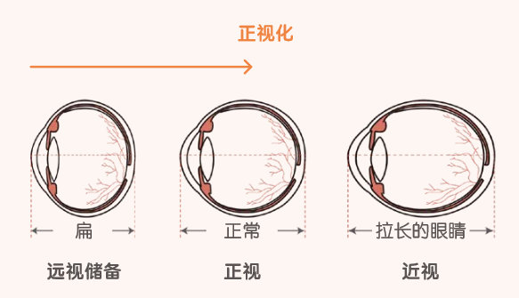 微信图片_20230901105032_2.png