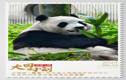 年情比金坚牛莉与伴侣共度风雨