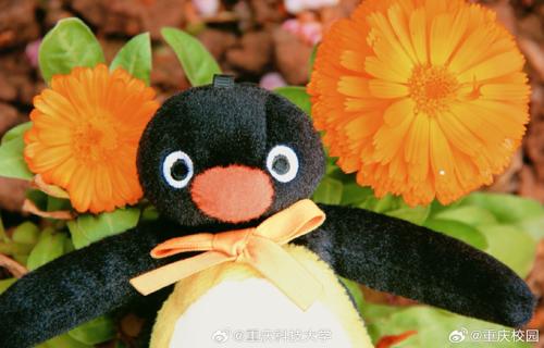 董宇辉工作室争议再引关注