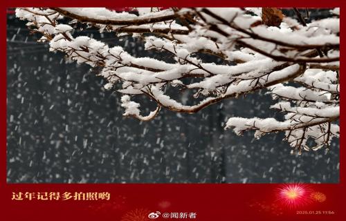 古天乐公开削减片酬投资商反应冷淡